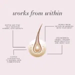Diagram of a hair strand with text explaining how hair volume works from within.