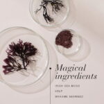 Ingredients of Irish™ Sea Moss Tablets.