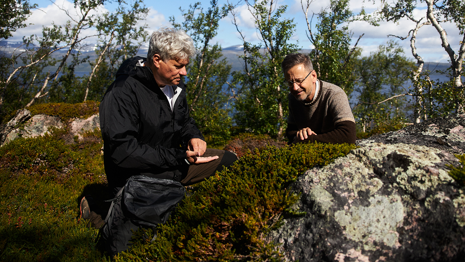Two men closely inspecting plants on a cliff.