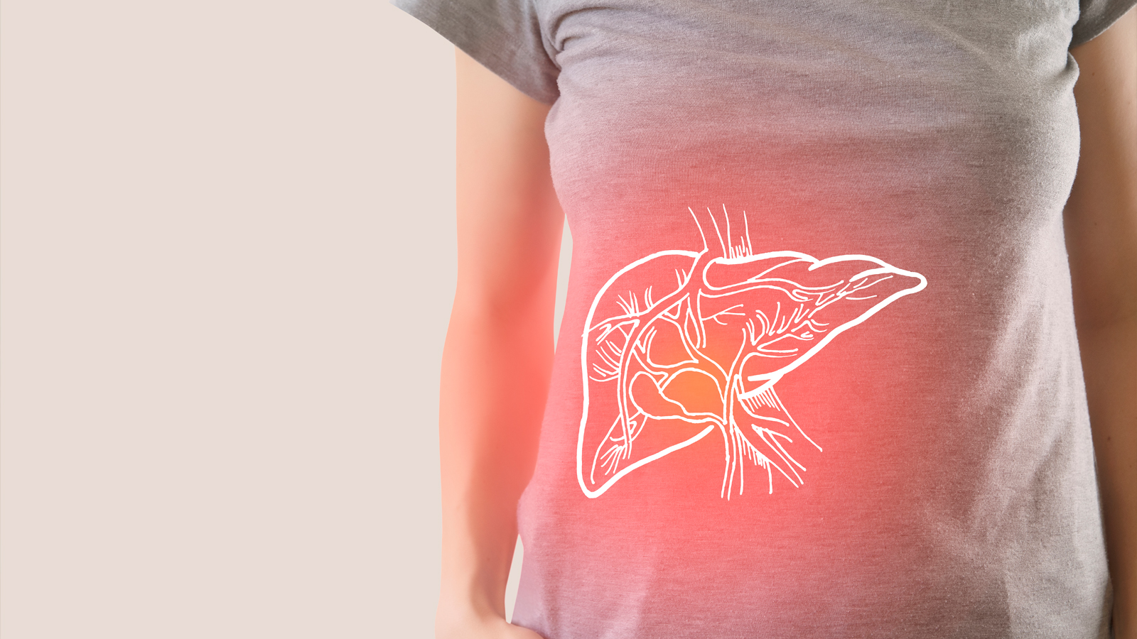 Illustration of a liver over a woman’s body showing its position.
