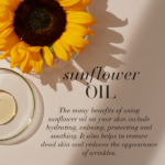 Benefits of sunflower oil.