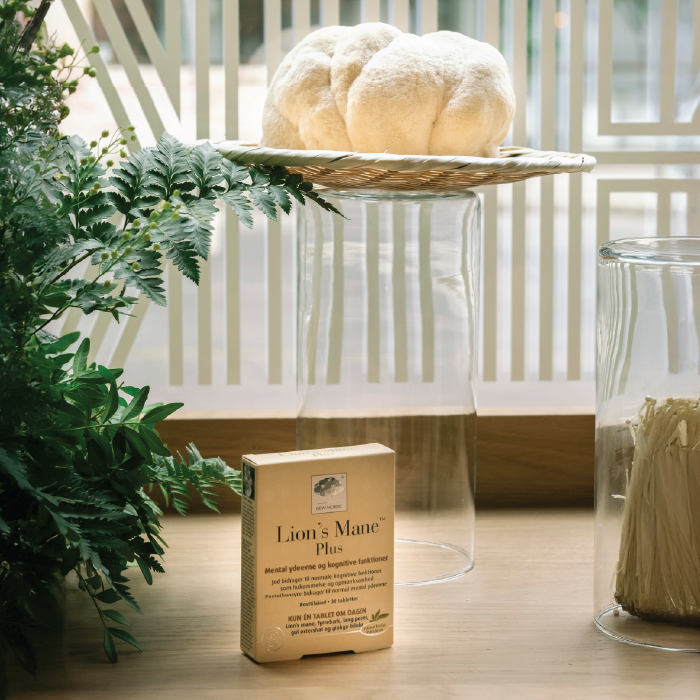 New Nordic Lion’s Mane Plus™ product displayed at the herbal school event.