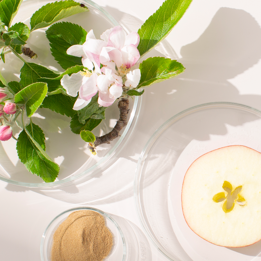 Apple blossom, sliced apple and apple extract powder displayed in glass dishes.