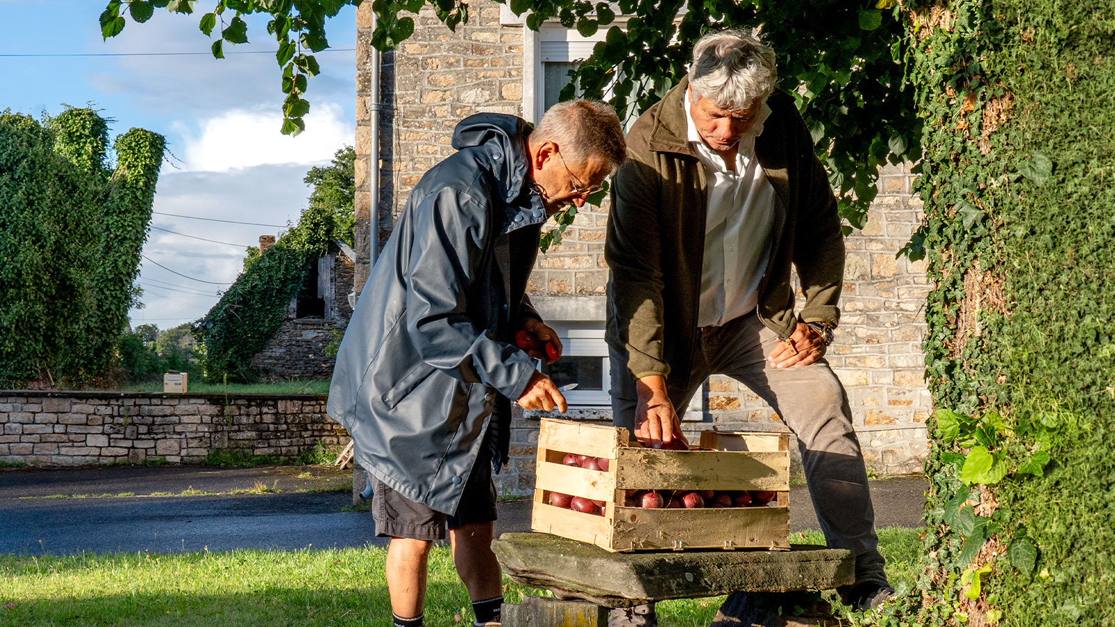 Two men inspecting crates of freshly harvested apples outdoors.