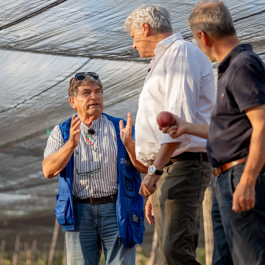 Three men discussing produce at a cultivation site, with one man holding a red fruit.