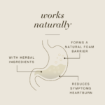 Illustration of the stomach with herbal ingredients and a natural foam barrier.